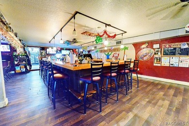 Prime commercial buildings in Homosassa, FL, featuring a total - photo 10