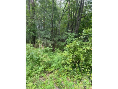 Sleepy Hollow Lake Lot For Sale in Athens New York