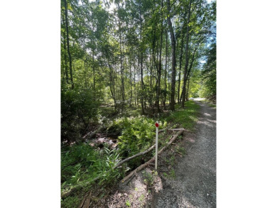 Lake Chatuge Lot For Sale in Hayesville North Carolina