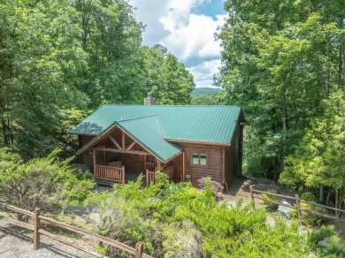 Lake Home For Sale in Murphy, North Carolina