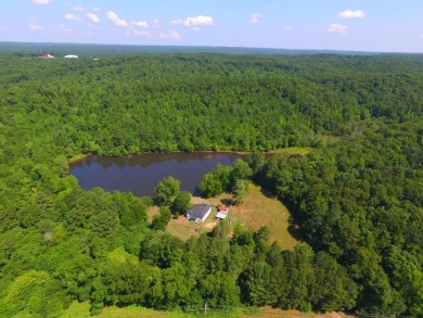 Lake Home For Sale in Douglasville, Georgia