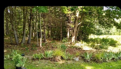 Nestled in a peaceful, private setting, this charming home - photo 33