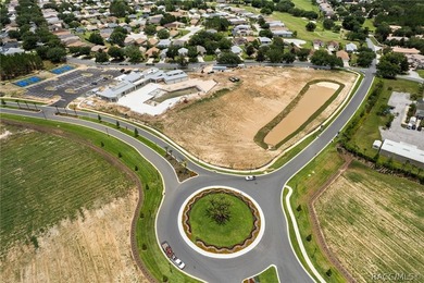 Welcome home to the new and improved Brentwood by Citrus Hills!! - photo 33