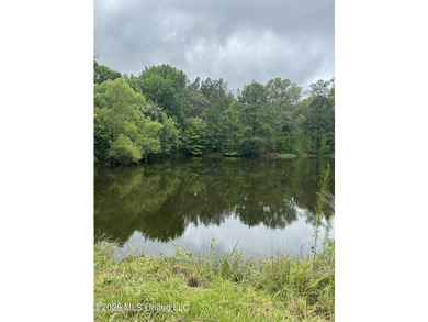 This is the one!!!! With 31 beautiful acres that is partially - photo 3