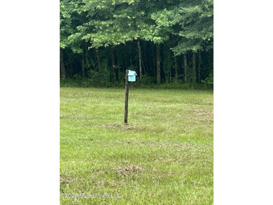 This is the one!!!! With 31 beautiful acres that is partially - photo 8