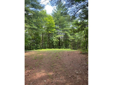 Lake Hiwassee Lot For Sale in Murphy North Carolina