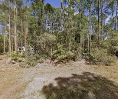 Lake Lot For Sale in Georgetown, Florida