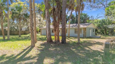 This property has a separate studio with full kitchen. Welcome - photo 9