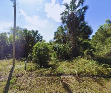 Lake Lot For Sale in Georgetown, Florida
