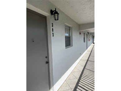 (private lake, pond, creek) Condo For Sale in St. Petersburg Florida