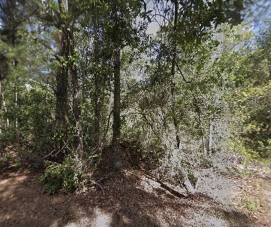 Lake Lot For Sale in Georgetown, Florida