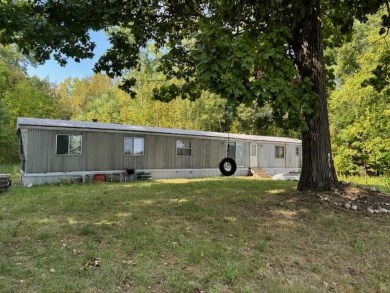 This custom 1000 sq. ft. 80' x 13' 3 Bedroom/ 2 Bath - Lake Home For Sale in Mecosta, Michigan