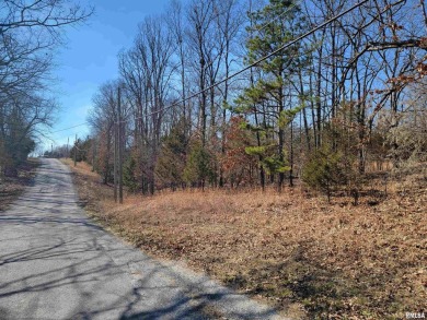 Lake Lot For Sale in Goreville, Illinois