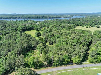 Welcome home to this beautiful 13.75+/- acre property nestled in - photo 1