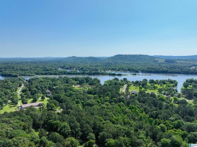Welcome home to this beautiful 13.75+/- acre property nestled in - photo 2