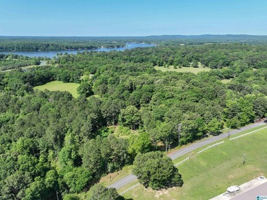 Welcome home to this beautiful 13.75+/- acre property nestled in - photo 6
