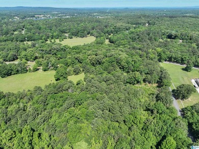 Welcome home to this beautiful 13.75+/- acre property nestled in - photo 7