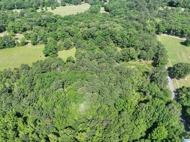 Welcome home to this beautiful 13.75+/- acre property nestled in - photo 8