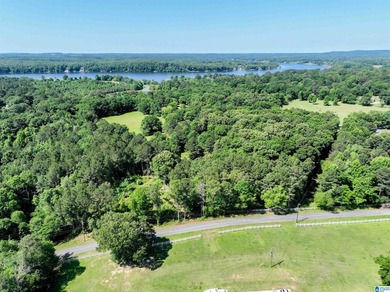 Welcome home to this beautiful 13.75+/- acre property nestled in - photo 9