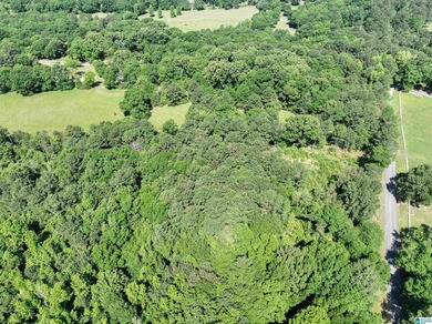 Welcome home to this beautiful 13.75+/- acre property nestled in - photo 10