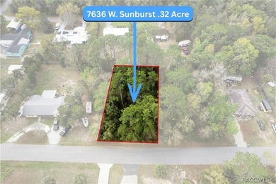 Two buildable lots for the price of one, with the option to - photo 1