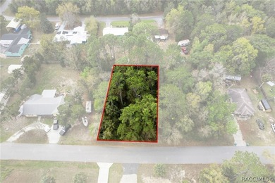 Two buildable lots for the price of one, with the option to - photo 2