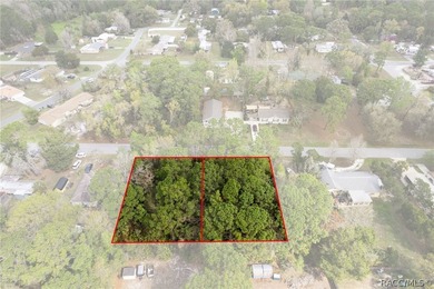 Two buildable lots for the price of one, with the option to - photo 8