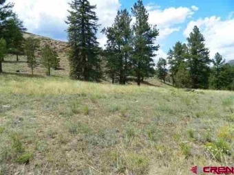 Lake Lot Off Market in South Fork, Colorado