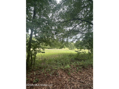 Perfect get away! 31 acres of fun for you. Hunting or fish in - photo 8