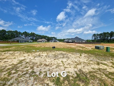 PRICED REDUCED! Build Your Dream Home in Hidden Springs - - photo 4