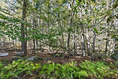 SEBAGO LAKE - Jordan Bay Waterfront! Privately nestled down a - photo 16