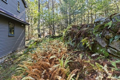 SEBAGO LAKE - Jordan Bay Waterfront! Privately nestled down a - photo 19