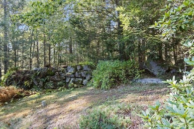 SEBAGO LAKE - Jordan Bay Waterfront! Privately nestled down a - photo 20