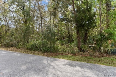 Two buildable lots for the price of one, with the option to - photo 3