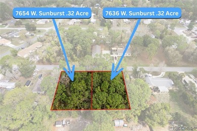Two buildable lots for the price of one, with the option to - photo 4