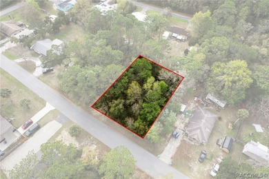 Two buildable lots for the price of one, with the option to - photo 5