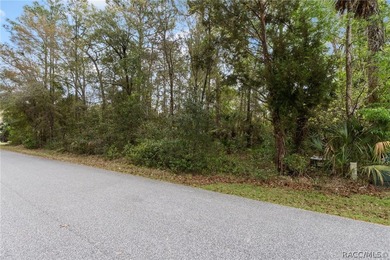 Two buildable lots for the price of one, with the option to - photo 6