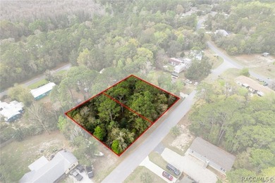 Two buildable lots for the price of one, with the option to - photo 8