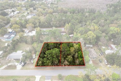Two buildable lots for the price of one, with the option to - photo 10