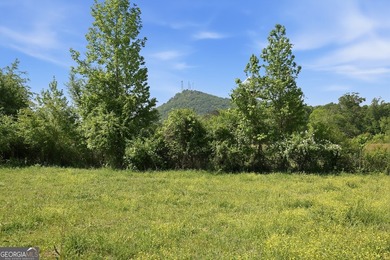 (private lake, pond, coastal) Acreage For Sale in Toccoa Georgia