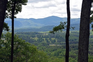 Lake Lot For Sale in Blairsville, Georgia