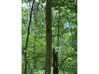 Lake Hiwassee Lot For Sale in Murphy North Carolina