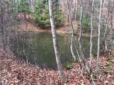 (private lake, pond, creek) Acreage For Sale in Purlear North Carolina
