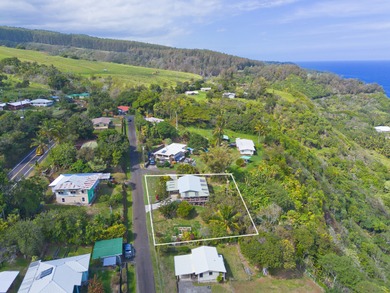 Be amazed by vast ocean and Laupahoehoe Point views from this - photo 25