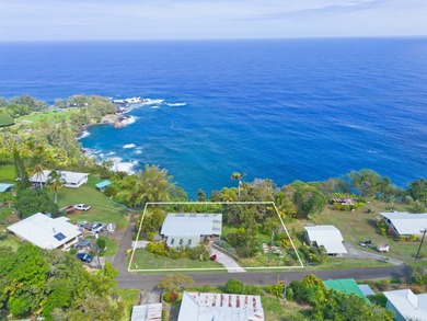 Be amazed by vast ocean and Laupahoehoe Point views from this - photo 27