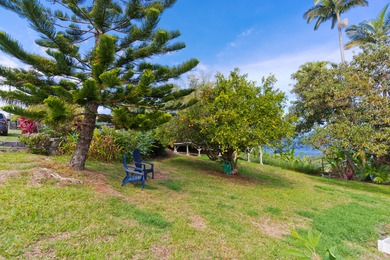 Be amazed by vast ocean and Laupahoehoe Point views from this - photo 29