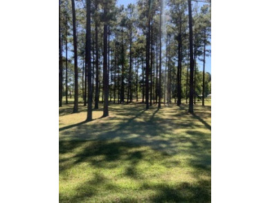 Lake Lot SOLD! in Pachuta, Mississippi