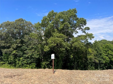 (private lake, pond, coastal) Lot For Sale in Asheville North Carolina