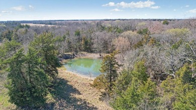 Rare opportunity to purchase one of the most diverse properties - photo 15