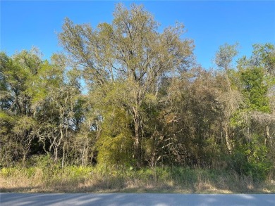 Withlacoochee River - Hernando County Lot For Sale in Webster Florida